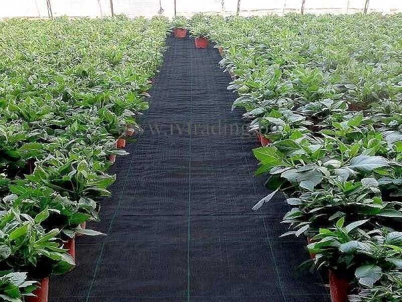 Тъкан против плевели/Зебло - 105 гр. бял, зелен и черен