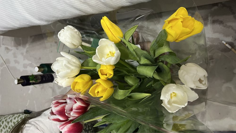 Тюльпаны свежий 22штук