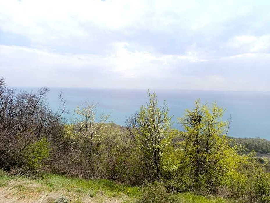 Продава се Парцел в с. Топола, Област Добрич - 827 кв.м за 45 €/кв.м - Снимка #4