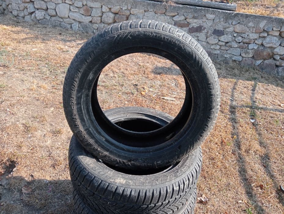 Van cauciucuri iarna 205/55/r16