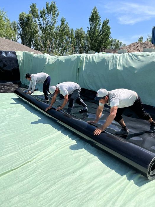 Лайнер Гео Мимбрано