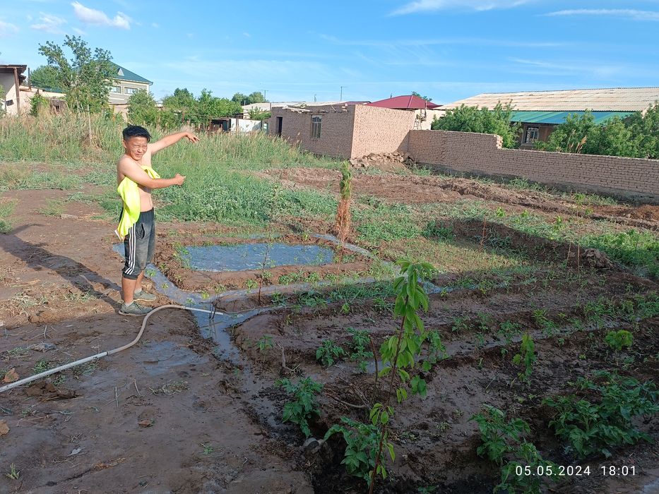 Аренда, квартирант семейный