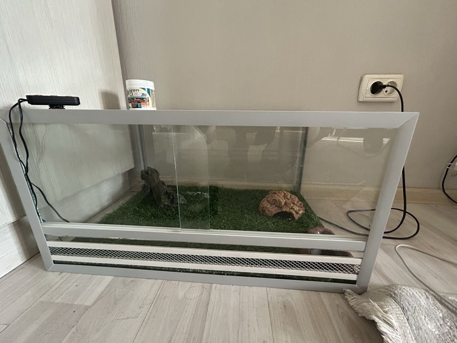 Эублефар с полным комплектом