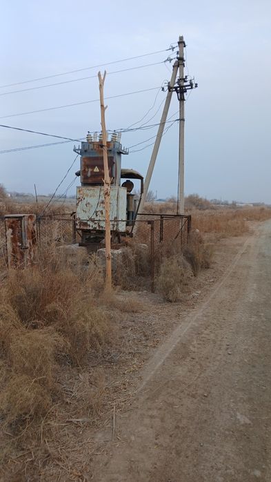 Transfarmatir 250/10