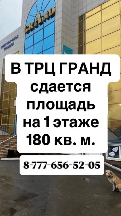 Аренда торговой площади