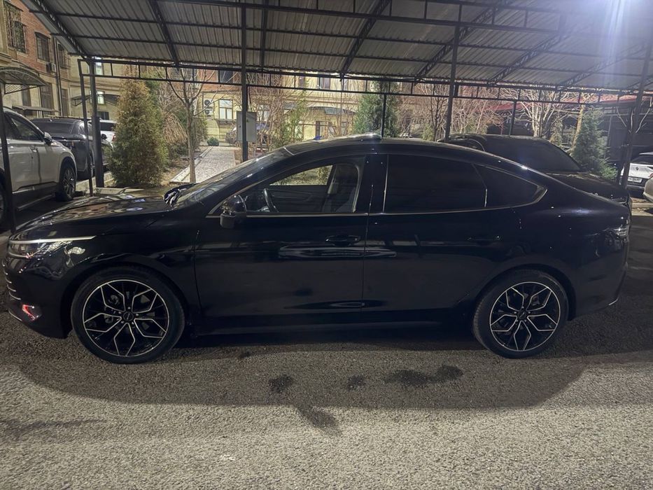 Byd chazor gibrit 2024 Full