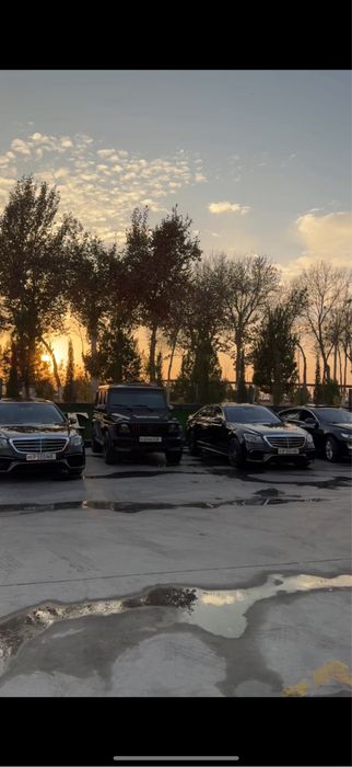 Kortej Buxara Tahoe Tayota Mers Malibu 2 xizmati