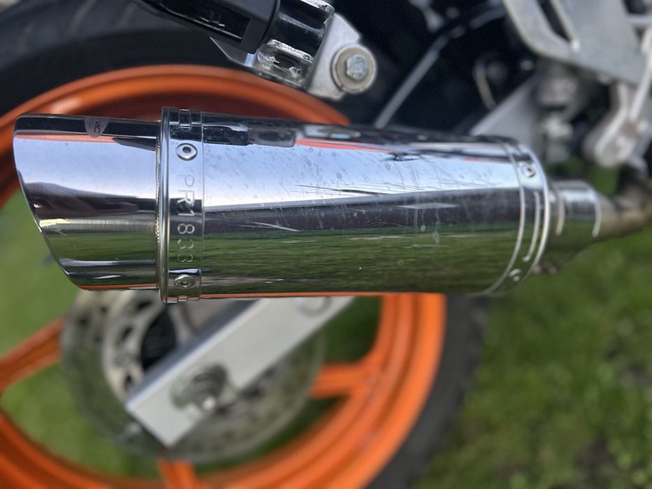 Cap de toba Dejukevic de vanzare