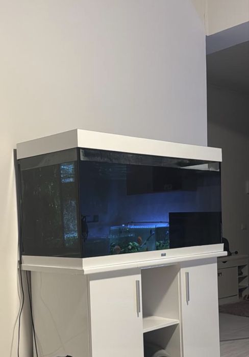 Acvariu juwel rio 350