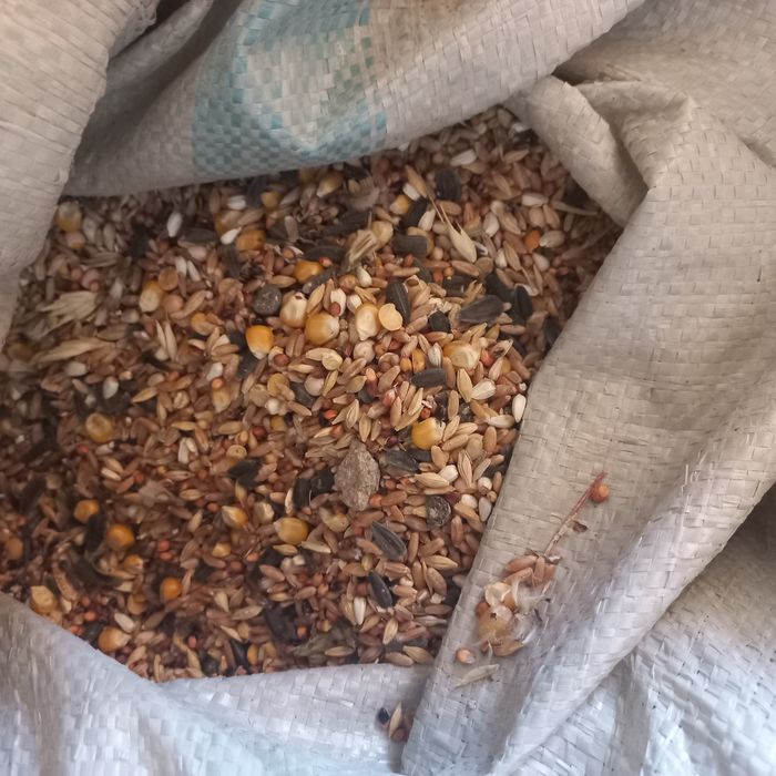 Зерно жем тары бидай - Корма для сельхоз животных Уральск на Olx