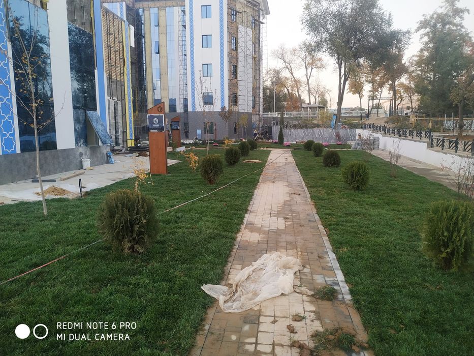 Газоны рулоны оптом