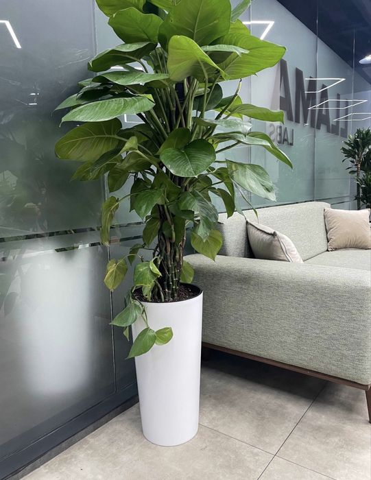 Срочно продается офисная мебель