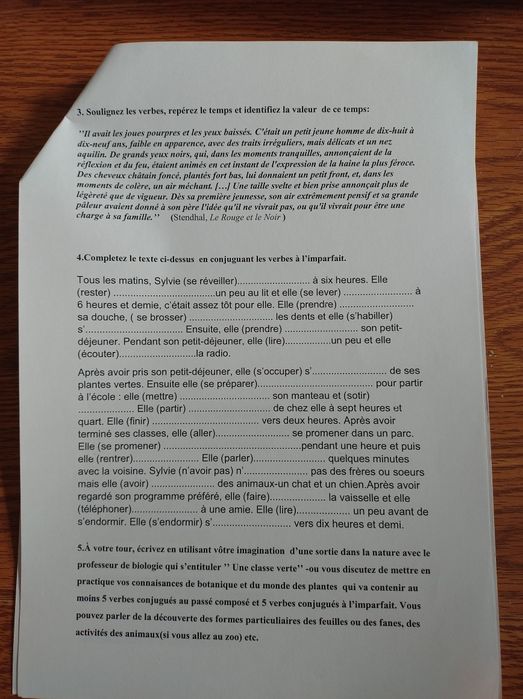 29 de Fișe, identice, cu exerciții pentru elevi despre L'imparfait