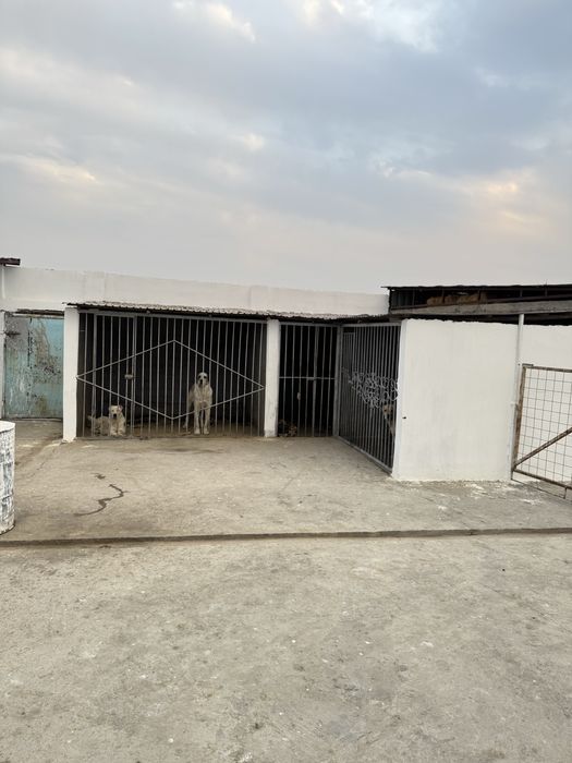 Қора сатылады жағдае жасалған