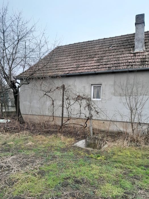 Vand casa in Brancovenesti