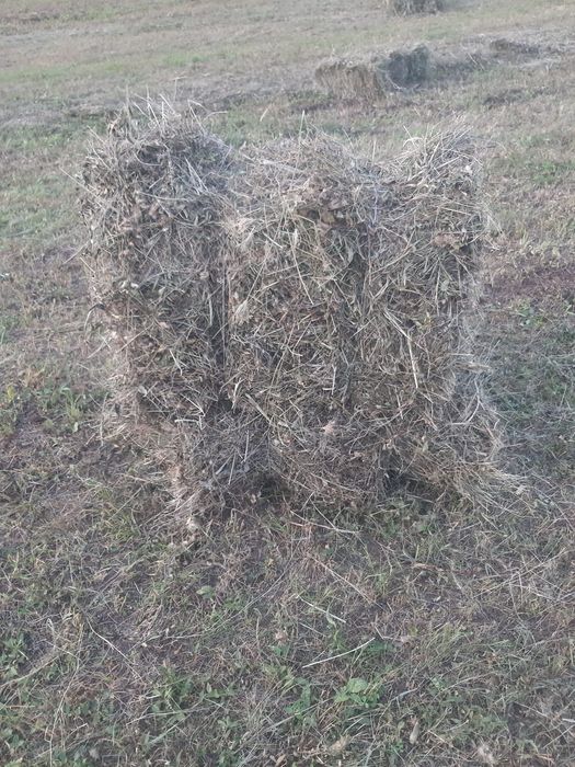 Vând  baloti de fan