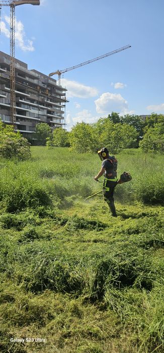 Tai tund defrișez terenuri de iarbă, bălării, ambrozie în Timișoara
