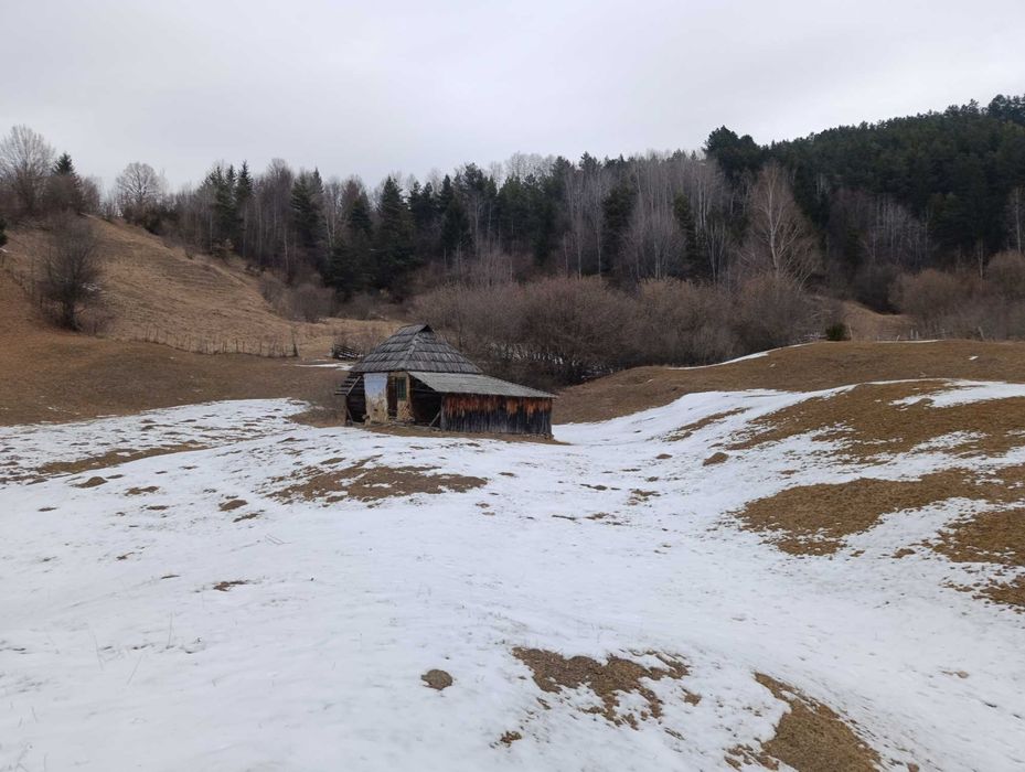 Vând teren 9000 mp teren Grozăvești com Hanguu