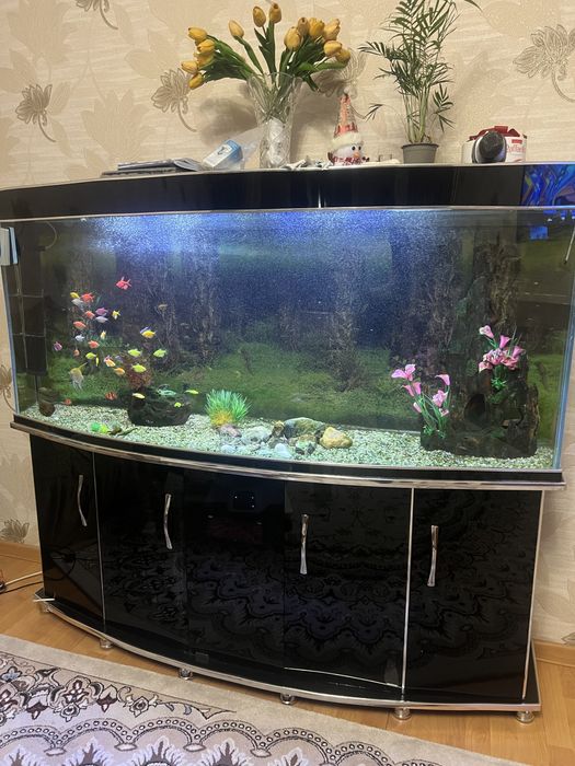 Akvarium 500 litr komplekt