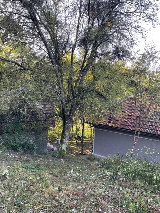 Teren de vanzare si casa la munte izolata