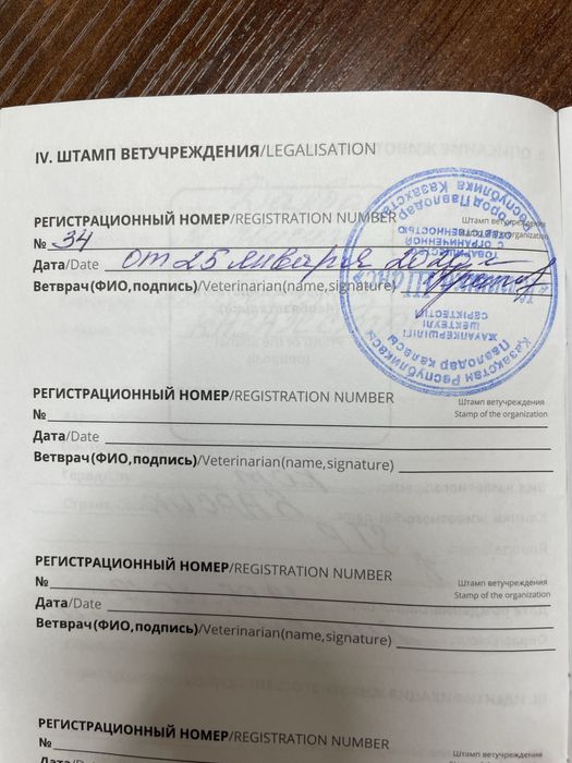 Отдам в добрые руки кота.