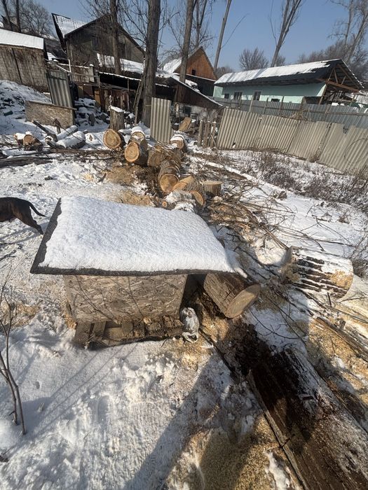 дрова продам 15000