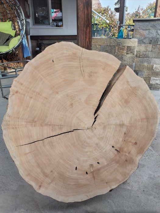 Дървена филия(кръг)