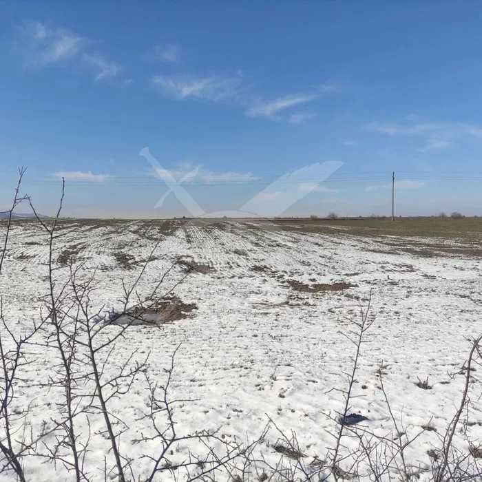 Продава се Парцел в с. Леново, Област Пловдив - 1000 кв.м за 6 €/кв.м - Снимка #1