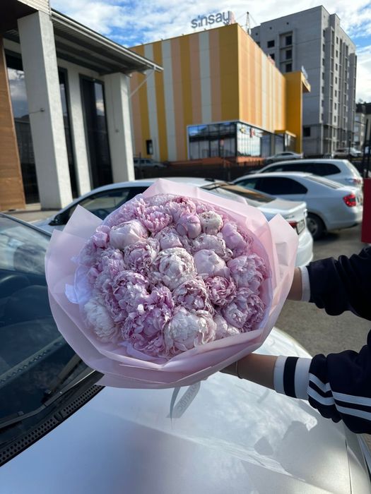 цветы пионы.