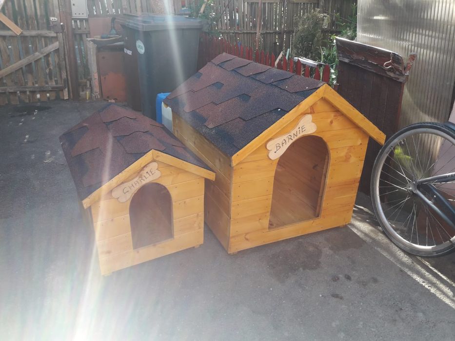 Vând Coteț /Cușcă Caine Transport Gratuit