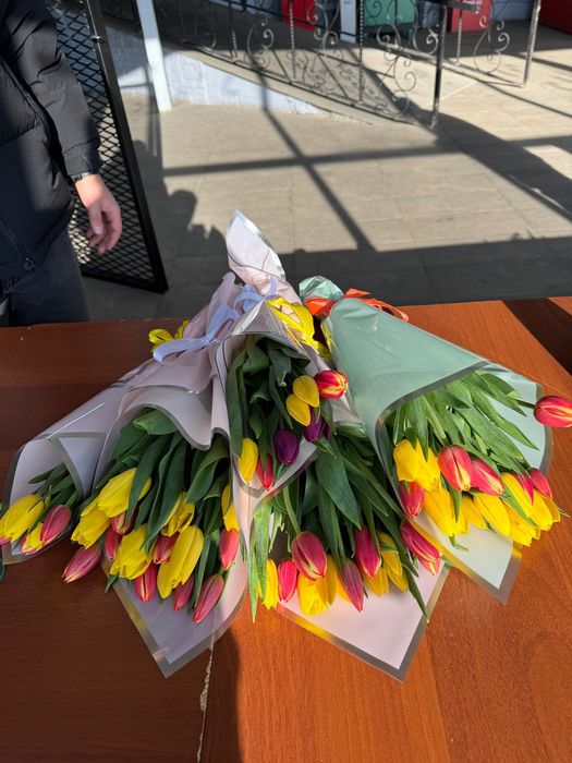 Тюльпаны ОПТОМ Кокшетау 400тг