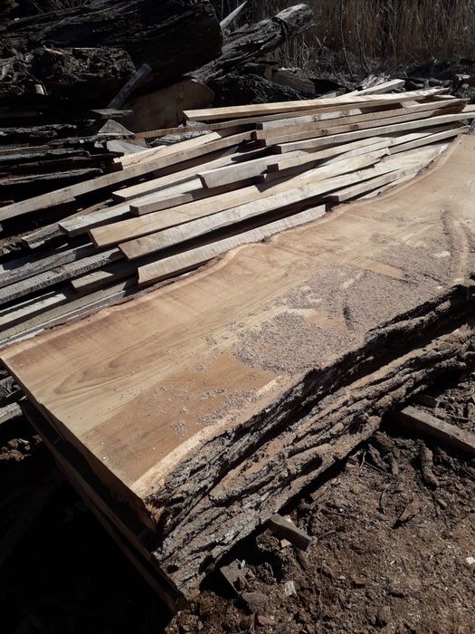 Лес доска сухой сосна карагач