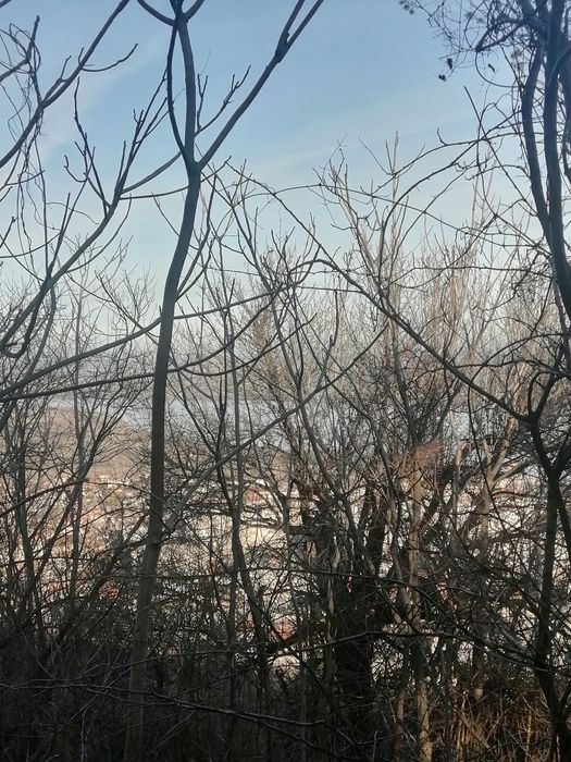 Продава се Къща в Свищов - 30 кв.м за 170 €/кв.м - Снимка #9