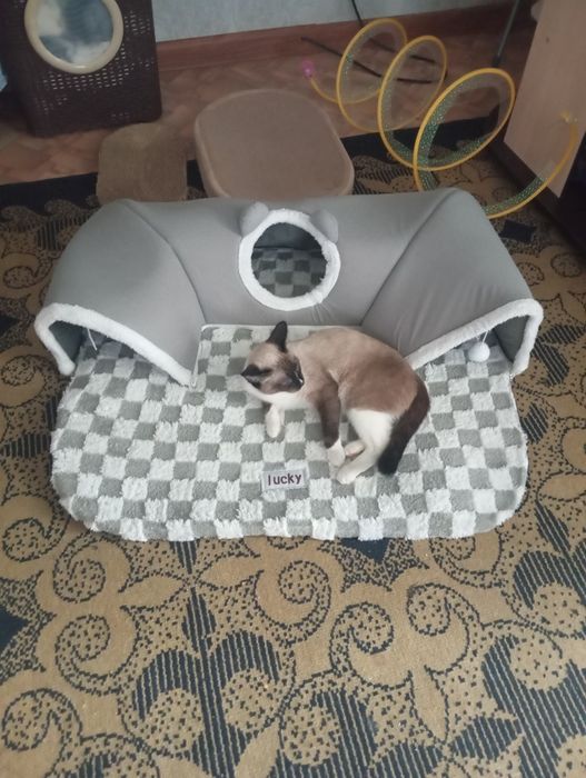 Продам лежанку для котов