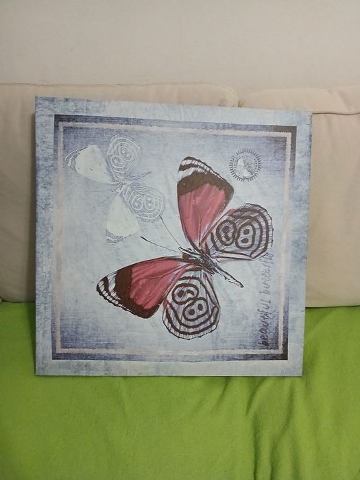 Картина с пеперуди 50/50