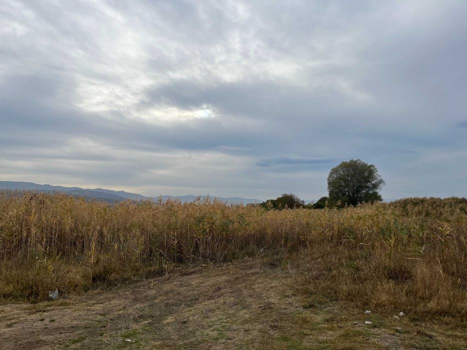 Продава се Парцел в с. Златитрап, Област Пловдив - 3000 кв.м за 21 €/кв.м - Снимка #2