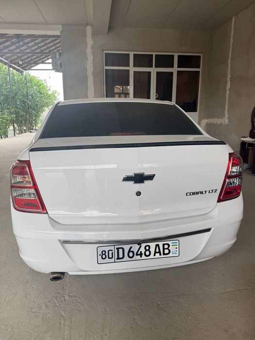 Other Cobalt 2013 — 4