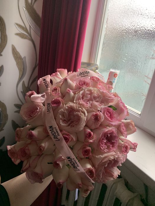 гул свежие бугинги