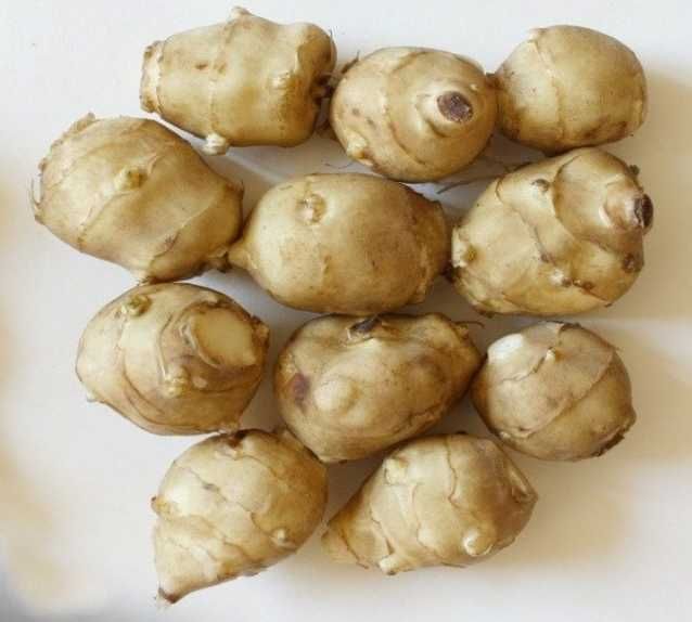 саженцы сливы, черешни...