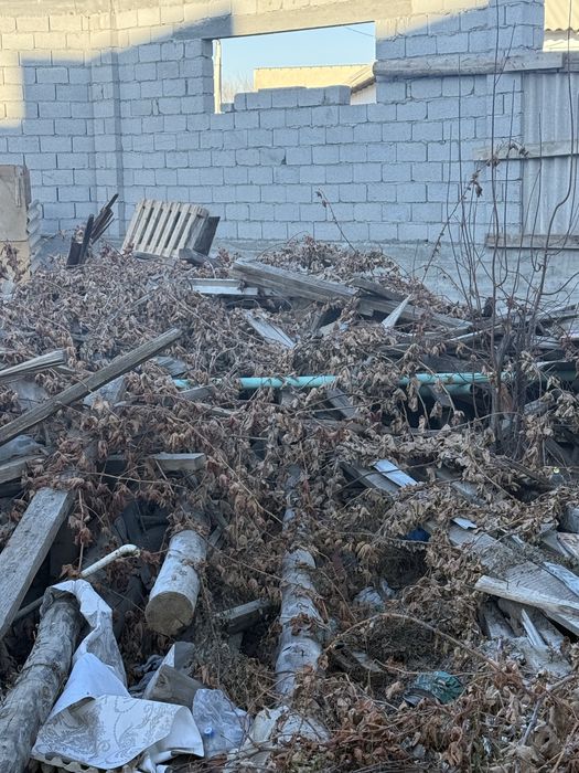 Агаш бесплатно тегин ,