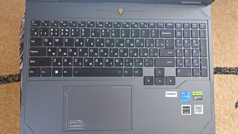 Thunderobot 16 i7 RTX 4060 8GB