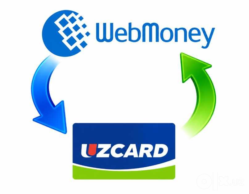Профессонал маслахатлар WMZ, Консультация по вмз
