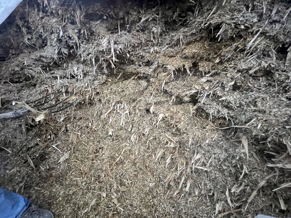 Силос сотилади. Арзон булади