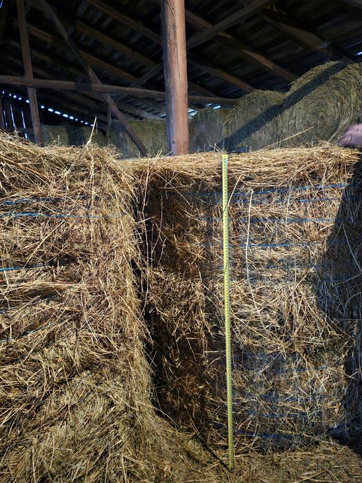 Baloți lucernă  120×110cm