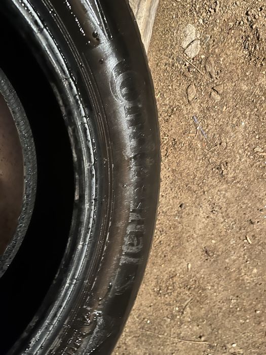 Caucicuri de vara Continental