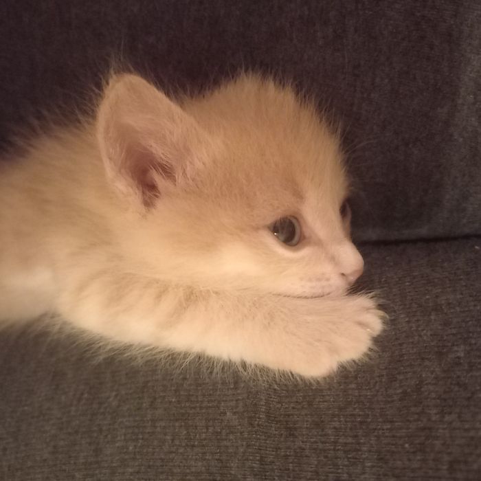 Малыш мальчик  1 месяц