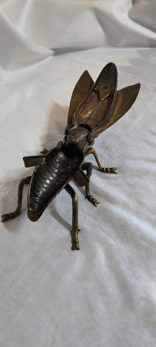 Голяма бронзова муха - пепелник