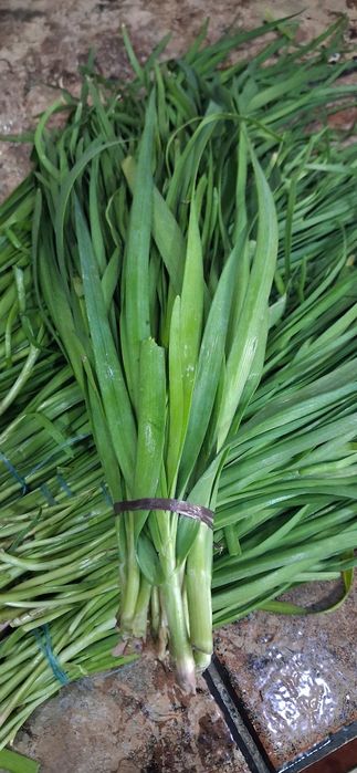 Продаётся жусай,ёмди(