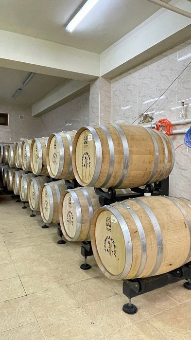 ЭКСКУРСИИ В ГОРЫ Чимгана, Амирсой, Узумферма и др. Минивэн, электрокар