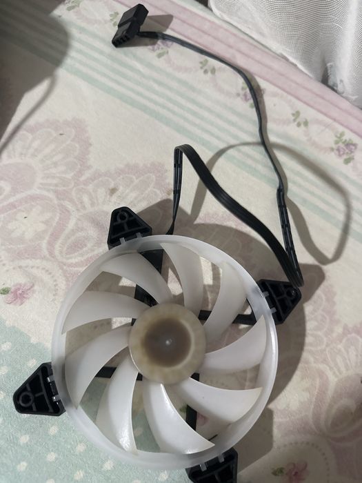 Kullerlar sotiladi original Mypro oq